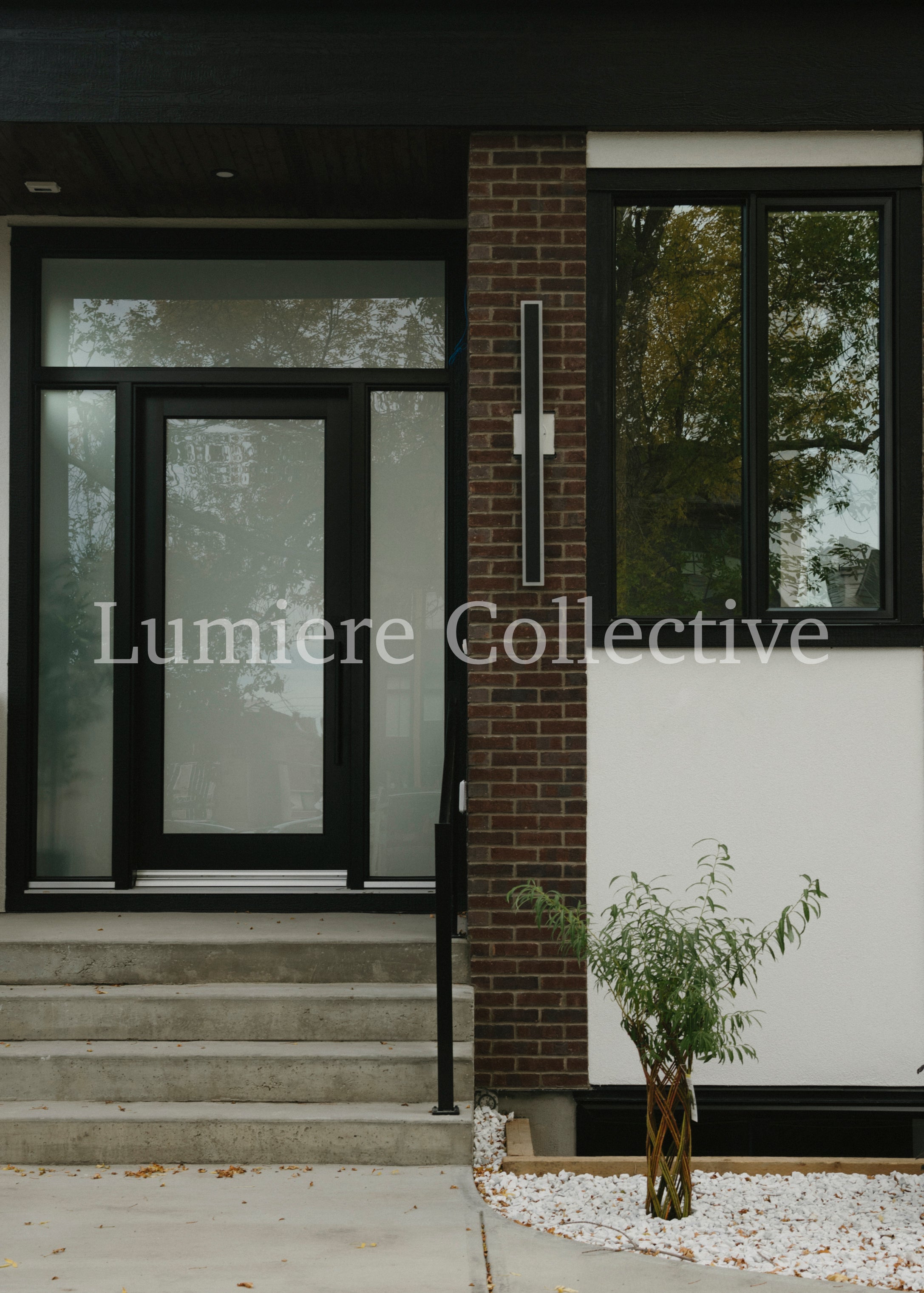 Dark & Moody Homes