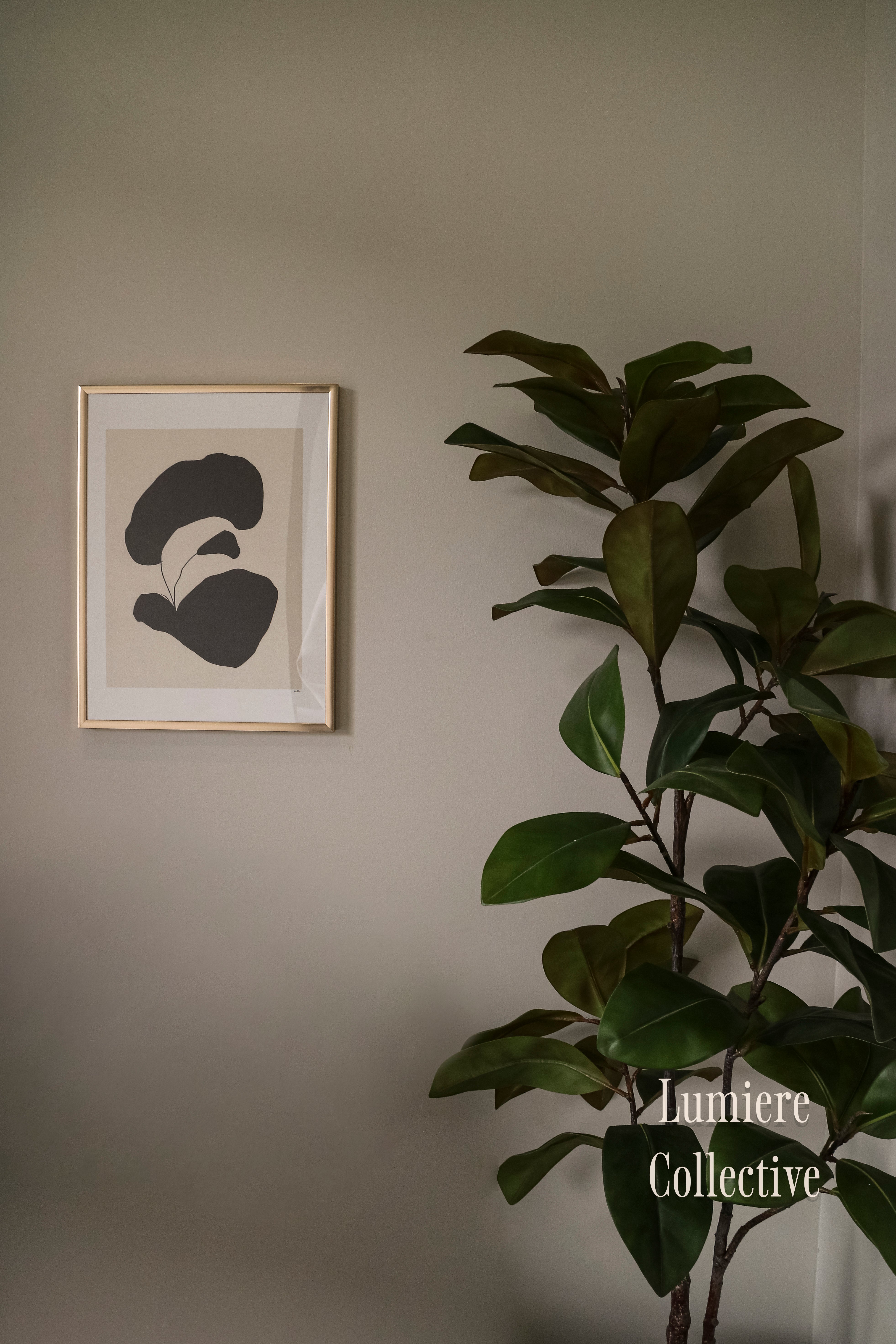 Dark N Moody Homes Pt.1