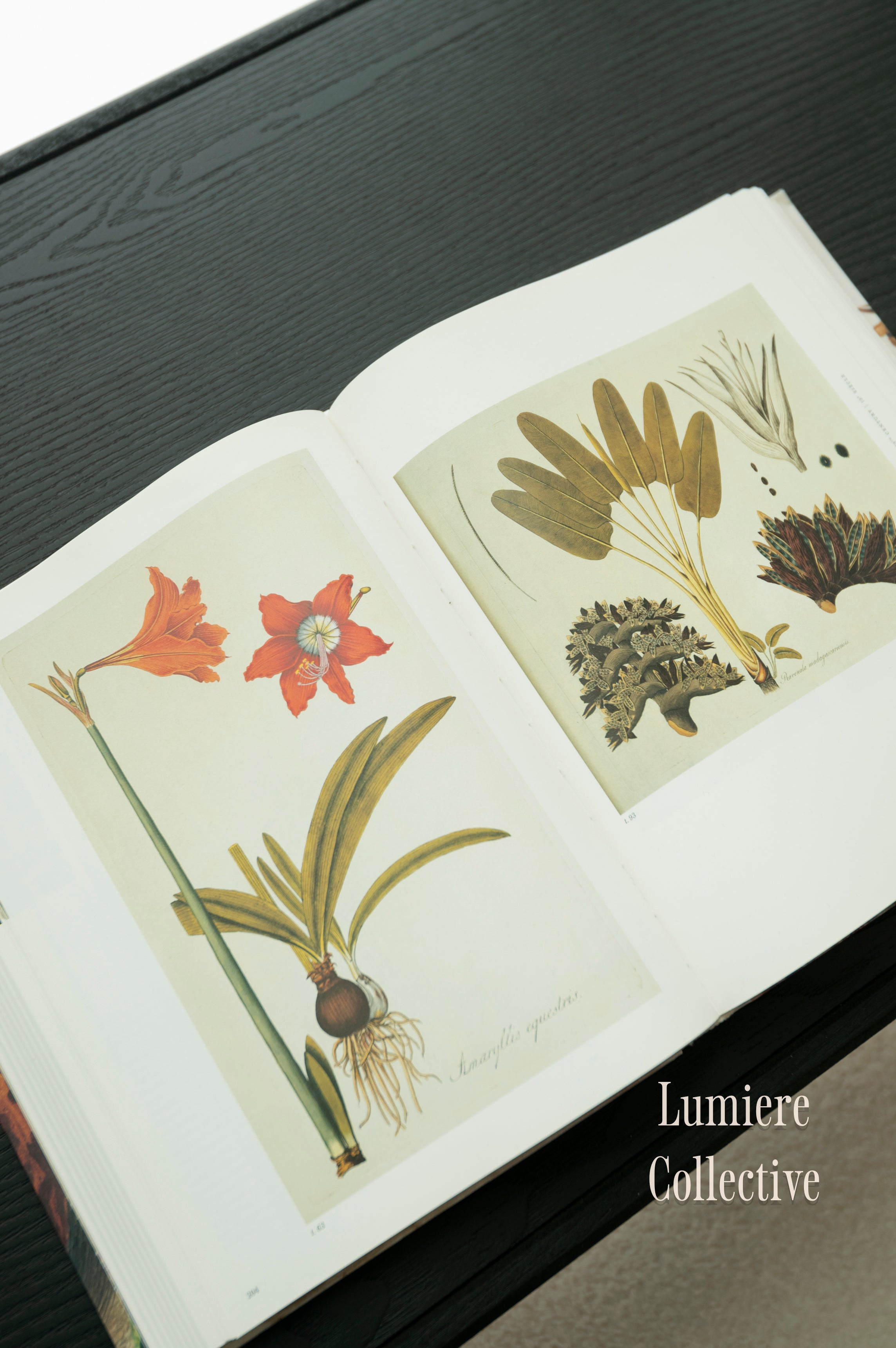 Light N Airy Homes Pt.2