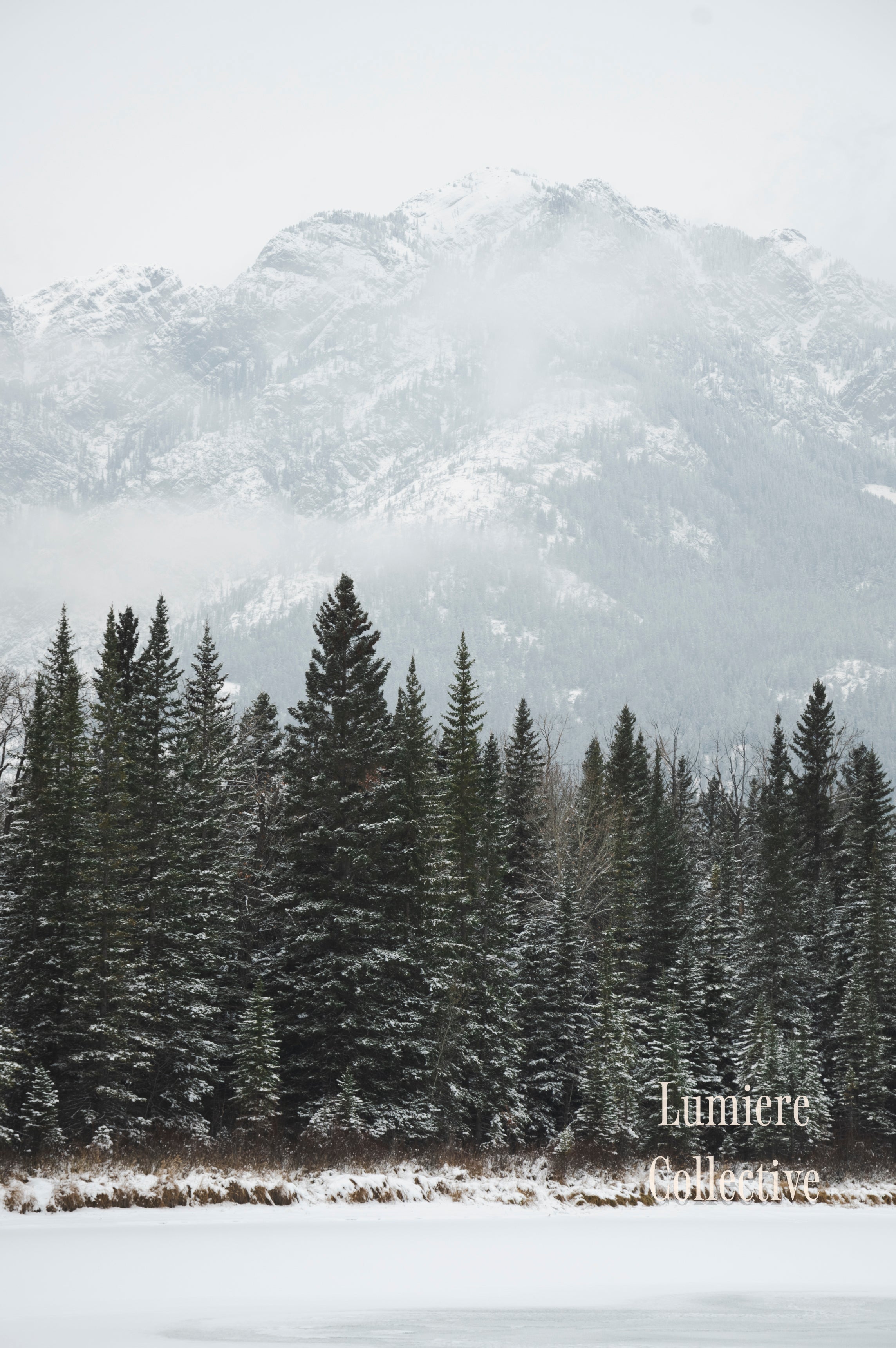 Mini Winter