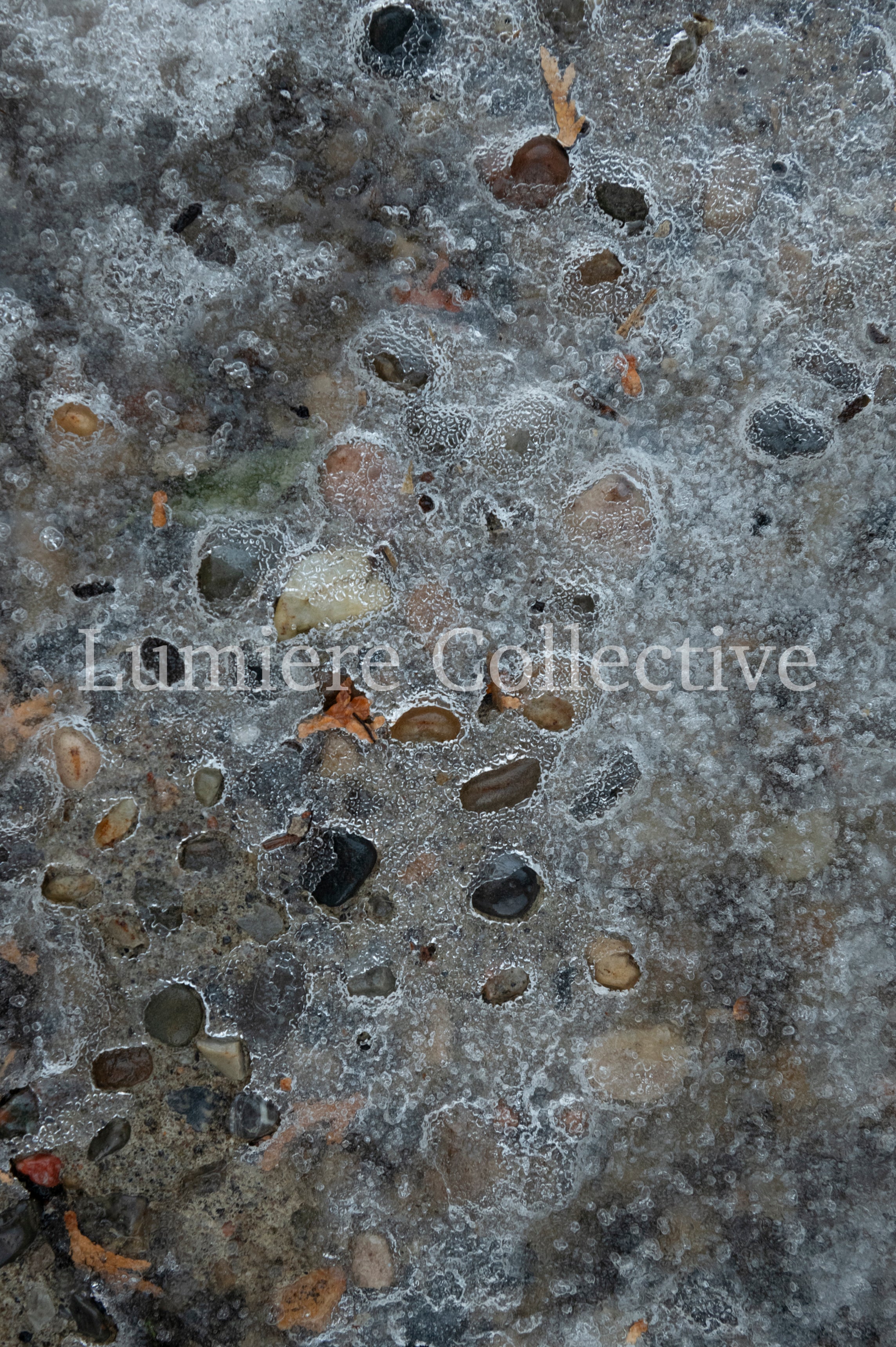 Nature Collection