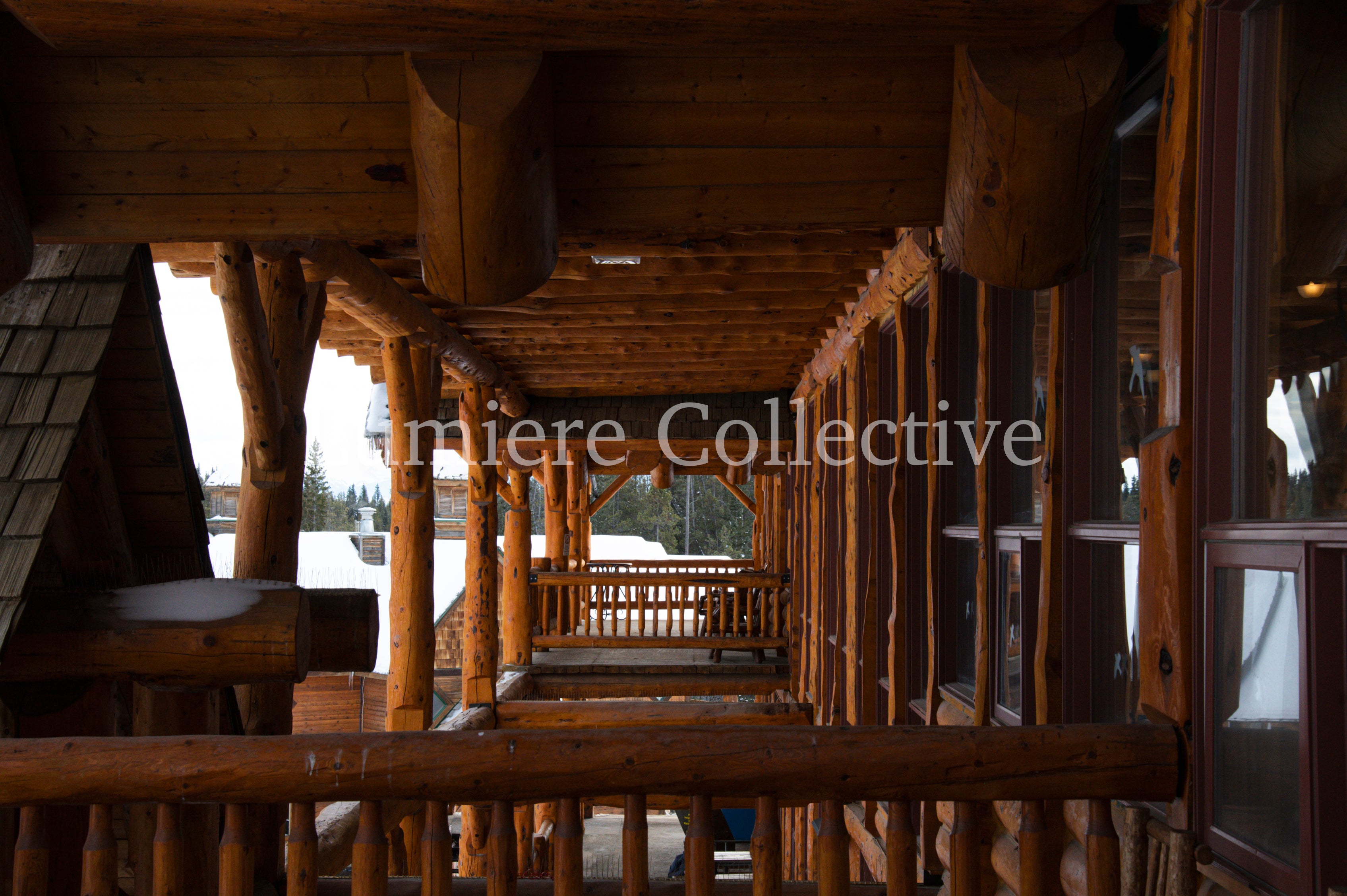 Nature Collection